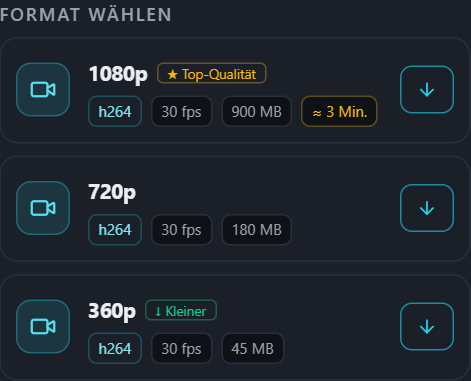 PullVid-Formatliste mit Größe und geschätzter Zeit für jede Qualität