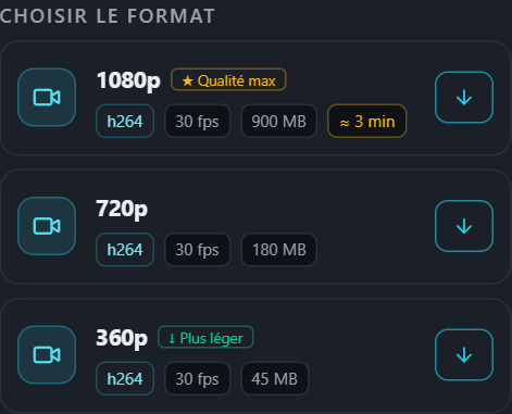 Liste des formats PullVid montrant la taille et le temps estimé de chaque qualité