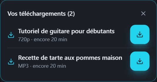 Liste PullVid avec plusieurs téléchargements prêts, à choisir lequel garder